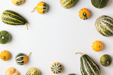 Pumpkins and squash different vegetables on white background flat lay