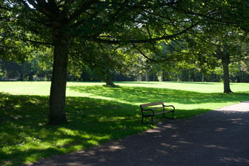 Sheffield Park on sunny day