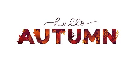 Hello autumn card with lettering and falling foliage vector illustration. Fall template with inscription and leaves on white background flat style for seasonal design
