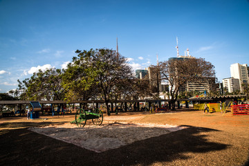 Naklejka premium A beautiful view of brasilia park in the city