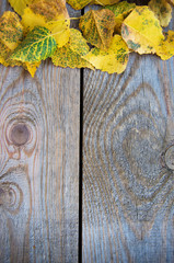Autumn background with leaves on wooden board