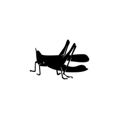 Grasshopper Logo Design Vector Illustration. Grasshopper Design Template