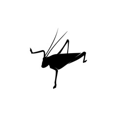 Grasshopper Logo Design Vector Illustration. Grasshopper Design Template