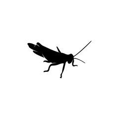 Grasshopper Logo Design Vector Illustration. Grasshopper Design Template