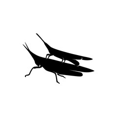 Grasshopper Logo Design Vector Illustration. Grasshopper Design Template