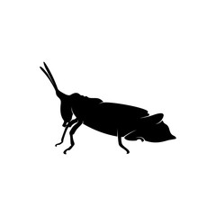 Grasshopper Logo Design Vector Illustration. Grasshopper Design Template