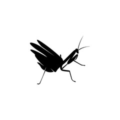 Grasshopper Logo Design Vector Illustration. Grasshopper Design Template