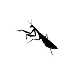 Grasshopper Logo Design Vector Illustration. Grasshopper Design Template