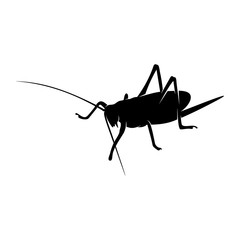 Grasshopper Logo Design Vector Illustration. Grasshopper Design Template