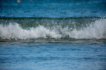 wave on the sea as it just breaks
