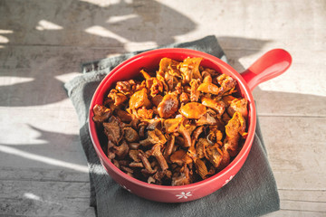 chanterelle mushrooms fried in a red pan on a white wooden background, shadow from the leaves outdoors, Close-up, copy space