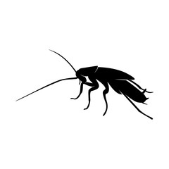 Cockroach Logo Design Vector Illustration. Cockroach Design Template