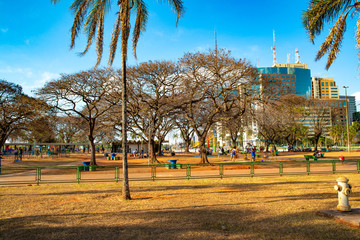 Naklejka premium A beautiful view of brasilia park in the city
