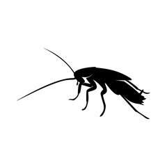 Cockroach Logo Design Vector Illustration. Cockroach Design Template