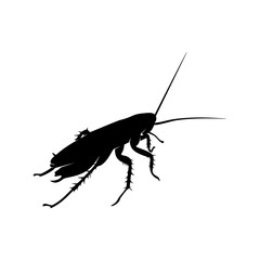 Cockroach Logo Design Vector Illustration. Cockroach Design Template