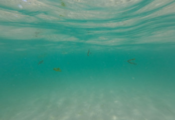 Underwater view from garbage and plastic bottles