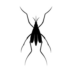 Mosquito Logo Design Vector Illustration. Mosquito Design Template