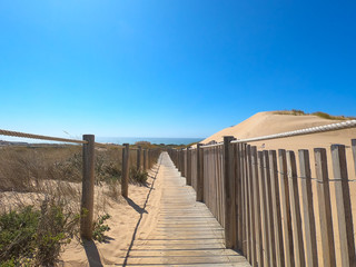 Wooden footpath through dunes in the Atlantic ocean coast. Guincho beach at sunset, Cascais Portugal
