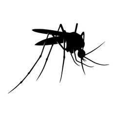 Mosquito Logo Design Vector Illustration. Mosquito Design Template