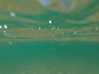 Underwater view from garbage and plastic bottles