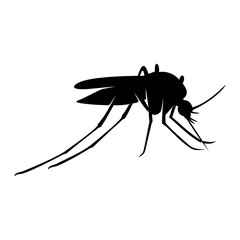 Mosquito Logo Design Vector Illustration. Mosquito Design Template