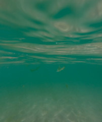 Underwater view from garbage and plastic bottles