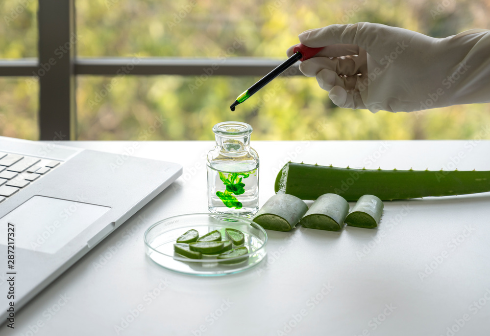 Wall mural science laboratory with aloe vera leaf and tester with labtop computer