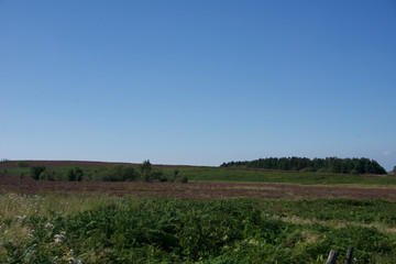 Peak District in Summer