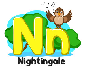 Alphabet Nightingale sings the song letters Nn on a white. Preschool education.