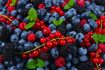 Blackberry, raspberry, blueberry,  red currant and mint background.
