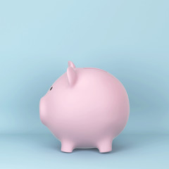 Ceramic piggy bank for saving money