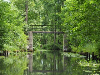 unberührte Natur im Spreewald, eine historische Kulturlandschaft in Brandenburg