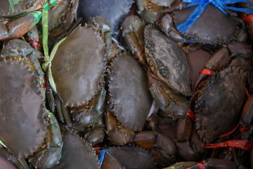 crabs in market