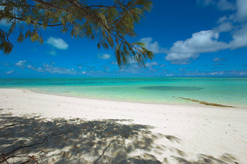 Fototapeta na wymiar Deserted tropical beach with turquoise sea and a school of fish