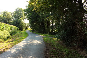 schöne Landweg
