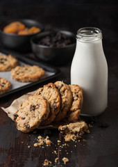 Homemade organic oatmeal cookies with raisins and apricots with baking tray and bottle of milk on grey wooden background. Black bowl of raisins and dried apricots.Top view