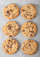 Homemade organic oatmeal cookies with raisins in baking tray on tracing paper background. Top view