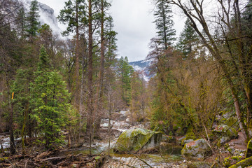 Natural landscape of Yosemite National Park, California. USA