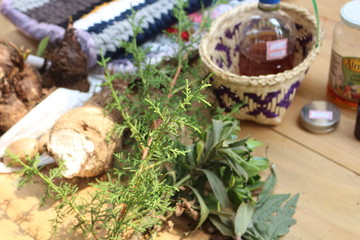 Plantas Medicinais
