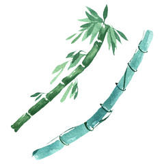 Bamboo green leaves and stalks. Watercolor background illustration set. Isolated bamboo illustration element.