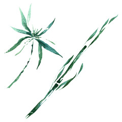 Bamboo green leaves and stalks. Watercolor background illustration set. Isolated bamboo illustration element.