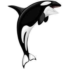 Wall murals Draw Killer Whale Spirit Orca Jumping