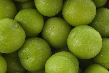heap of green cherry-plum  background