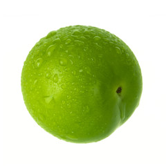 single green cherry-plum isolated on white background