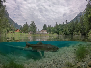 Famous mountain lake in switzerlan with crystal clear water and a wonderful area