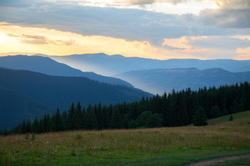 Fototapeta na wymiar mountain hills covered with spruce forest, orange sunset light in the gorge