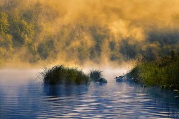 Morning fog over a quiet river.