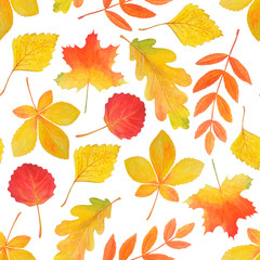 Beautiful seamless pattern of yellow and red autumn leaves. 