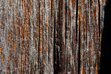 Obraz premium texture of an old charred wood. scorched surface. the background