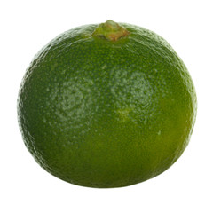 fresh green limequat on white background